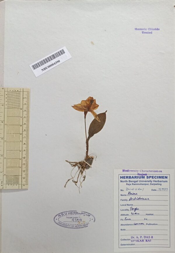 DocScanner 8 Apr 2026 1-47 pm